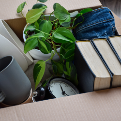 Gebäudereinigung in Cuxhaven – aufgeräumter Karton mit Büchern, Pflanze, Bechern und Uhr